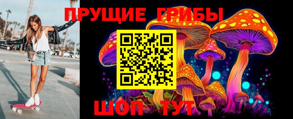 Галлюциногенные грибы GOLDEN TEACHER Новотроицк