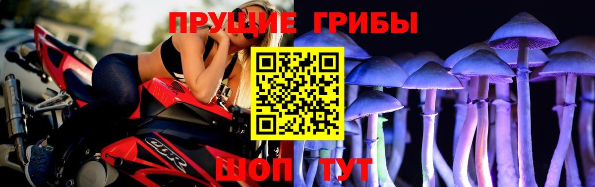 цены   Псилоцибиновые грибы прущие грибы  Новотроицк  Вход с VPN  Галлюциногенные грибы GOLDEN TEACHER 